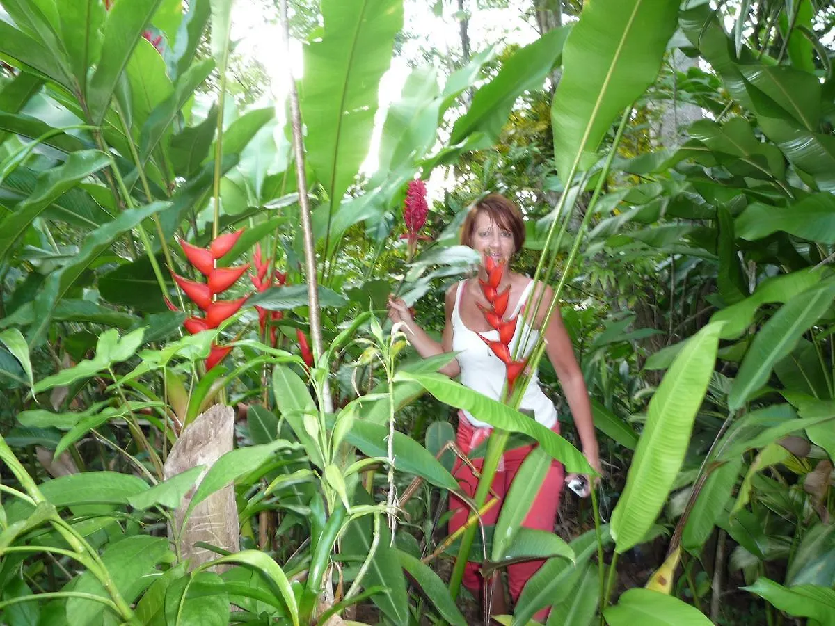 Ecotopia Park 拉斯特拉纳斯 山林小屋